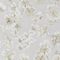 Designers Guild Fleur d assam