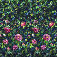 Designers Guild Gertrude rose fuchsia