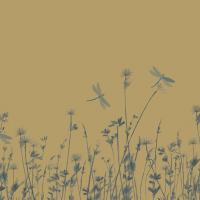 Armani Casa DICKINSON