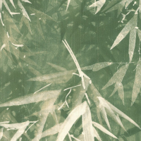 Today Interiors Bamboo Veil