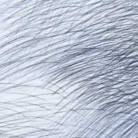 Marimekko LEPO - Aqua & Blue Wallpaper