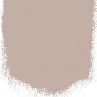 Pale birch  no 24  perfect paint 