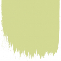 Designers Guild Trailing willow  no 109  perfect paint 