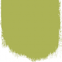 Designers Guild Greengage  no 100  perfect paint 