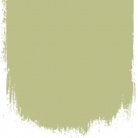 Designers Guild Giardino  no 107  perfect paint 