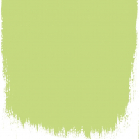 Designers Guild Lime tree  no 96  perfect paint 