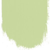 Designers Guild Cardamon pod  no 103  perfect paint 