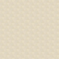 TRIANGLES TROPICALES