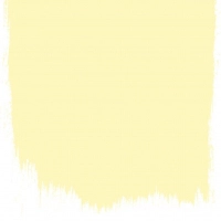 Designers Guild Primrose  no 118  perfect paint 