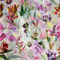 Designers Guild Tulipa stellata