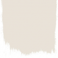 Silver birch  no 13  perfect paint 