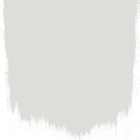 Polished cement  no 21  perfect paint 