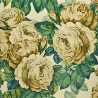 John Derian The rose