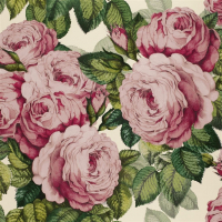 John Derian The rose