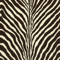 Ralph Lauren Bartlett zebra