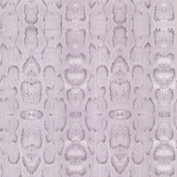 Osborne & Little Boa