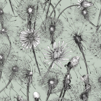 Alexander Meli Dandelions