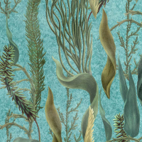 Mind The Gap AQUATIC PLANTS