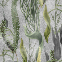 Mind The Gap AQUATIC PLANTS