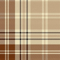 Mind The Gap CHESTERFIELD PLAID