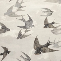 Chimney Swallows