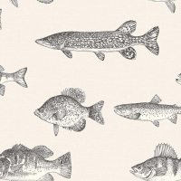 Today Interiors TROUT