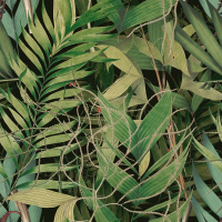  EXOTIC GARDEN
