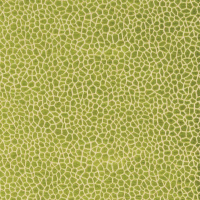 Kairi Fabric