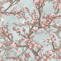 Today Interiors ORCHARD
