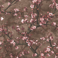 Today Interiors ORCHARD
