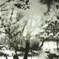 Jean Paul Gaultier BRUME