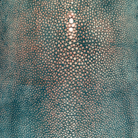 Jean Paul Gaultier PRECIEUX