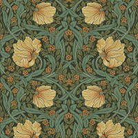  Pimpernel