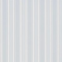 Designers Guild Pinstripe