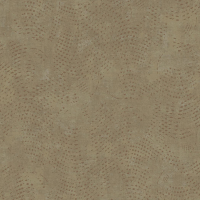Today Interiors Panthera Splash