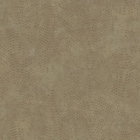 Today Interiors Panthera Splash