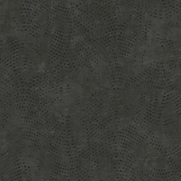 Today Interiors Panthera Splash