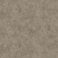 Today Interiors Panthera Lingua