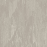 Today Interiors Panthera Brush