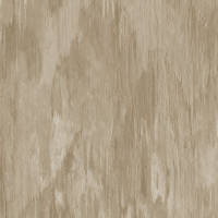 Today Interiors Panthera Brush