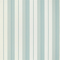 Aiden Stripe