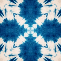Mind The Gap Shibori Butterfly