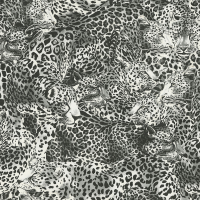 Dolce & Gabbana LEOPARDO INCOGNITO