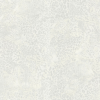 Dolce & Gabbana LEOPARDO INCOGNITO