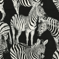 Dolce & Gabbana ZEBRA ROMANCE