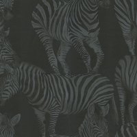 Dolce & Gabbana ZEBRA ROMANCE