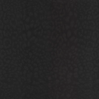 Dolce & Gabbana LEOPARDO