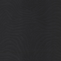 Dolce & Gabbana ZEBRA DOLCE