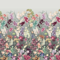Wild Orchids