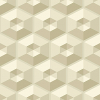 Today Interiors Hexagon Illusion